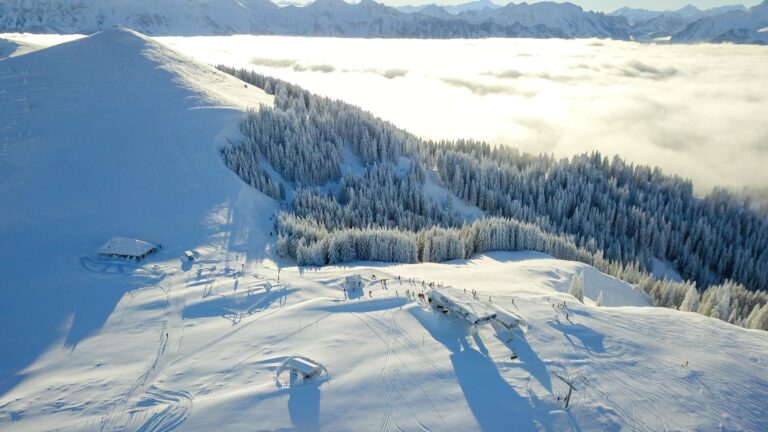 La vue d'un mont enneigé en altitude